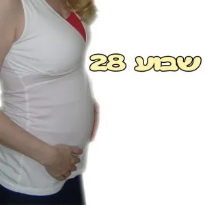 שבוע 28 להריון