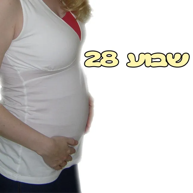 הריון שבוע 28