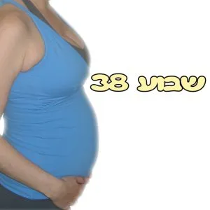 שבוע 38 להריון