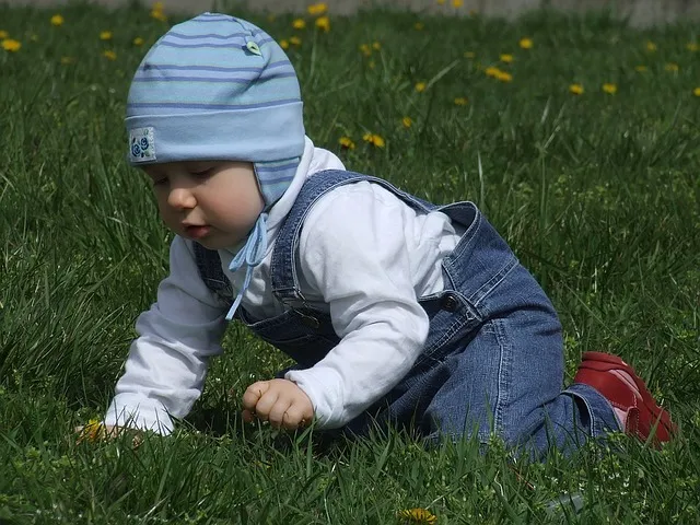 זחילה על דשא למען עצמאות התינוק