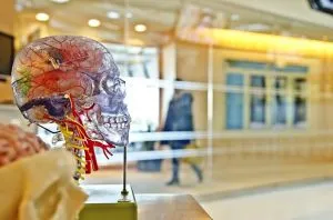 אבחון דלקת קרום המוח